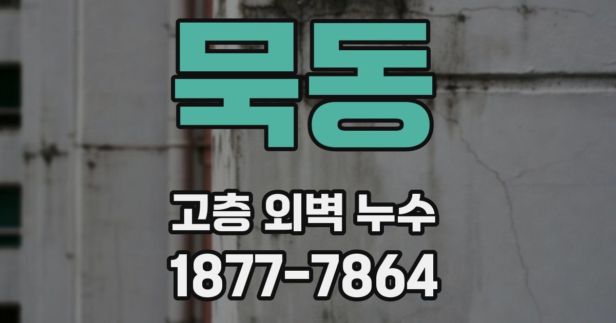 묵동 고층 외벽 누수