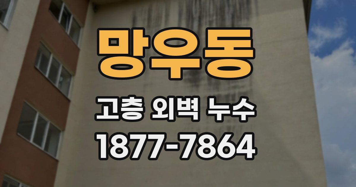 망우동 고층 외벽 누수