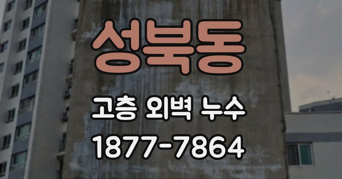 성북동 고층 외벽 누수