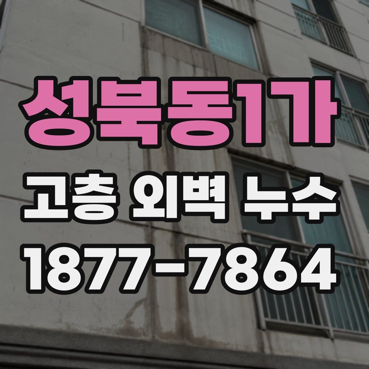 성북동1가 고층 외벽 누수 보수 전 비용 산정 방식 살펴보기