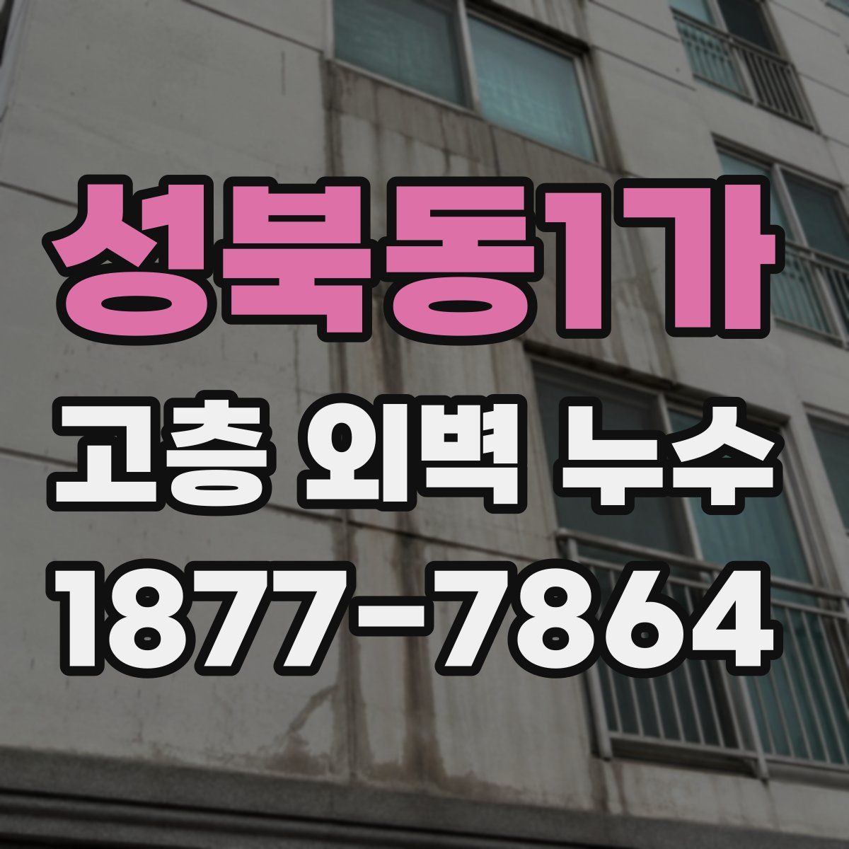 성북동1가 고층 외벽 누수