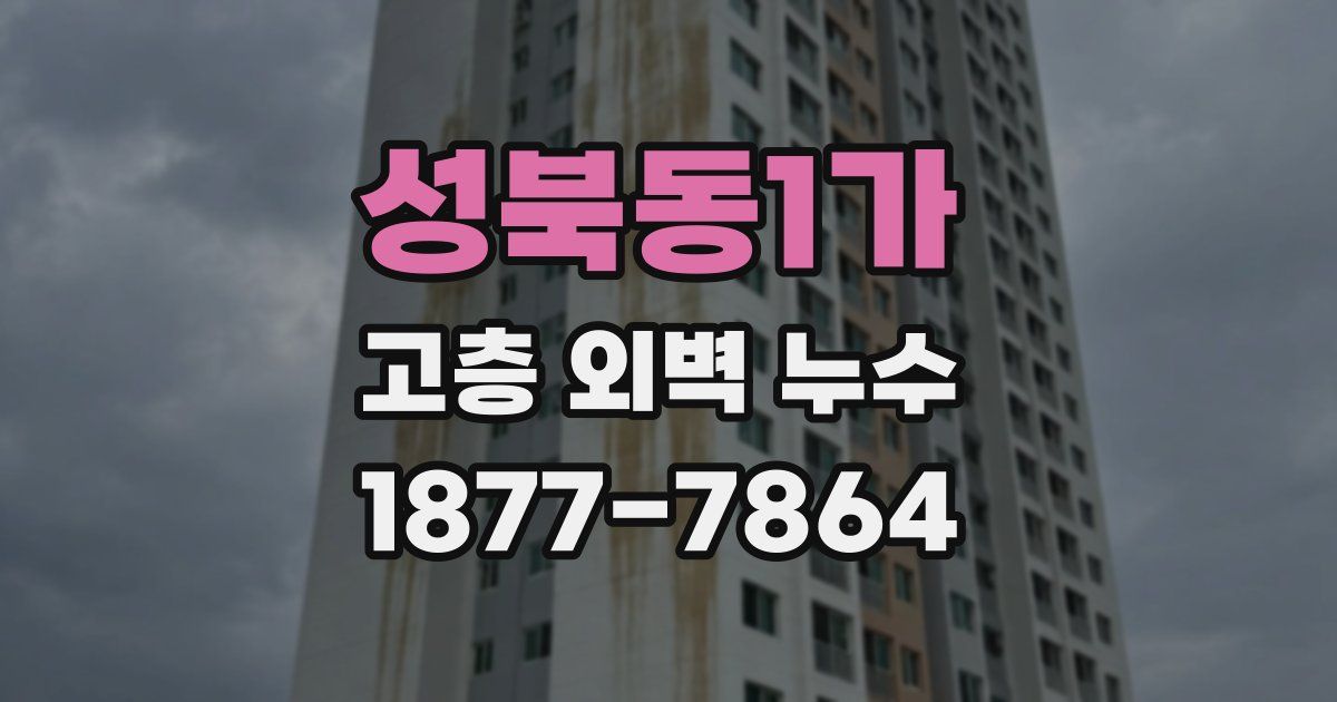 성북동1가 고층 외벽 누수