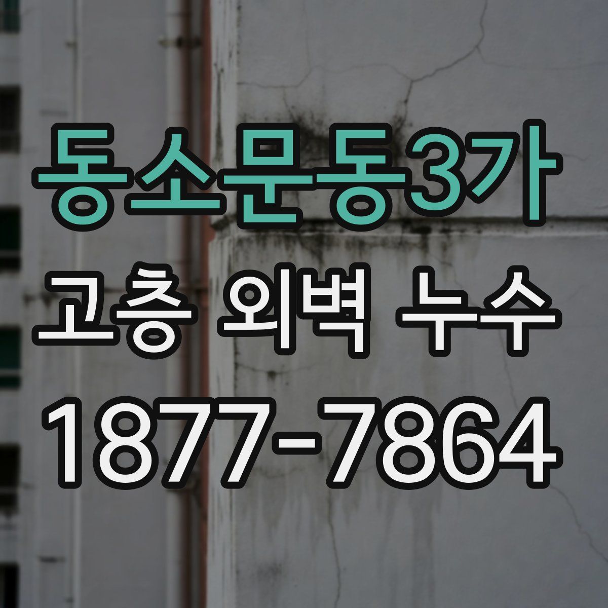 동소문동3가 고층 외벽 누수
