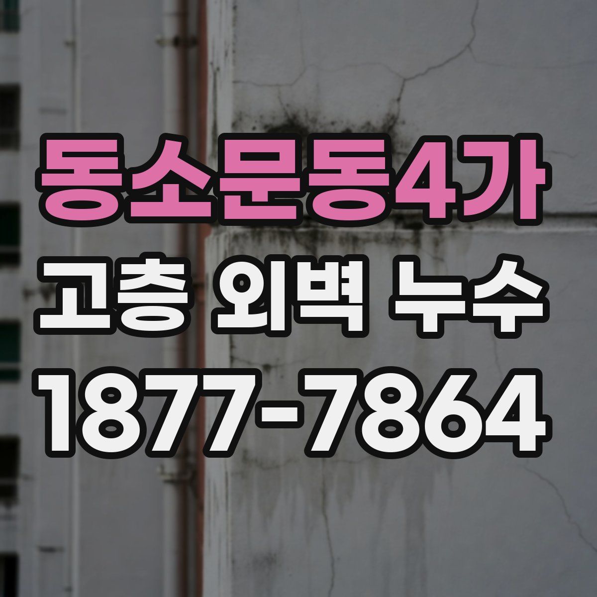 동소문동4가 고층 외벽 누수