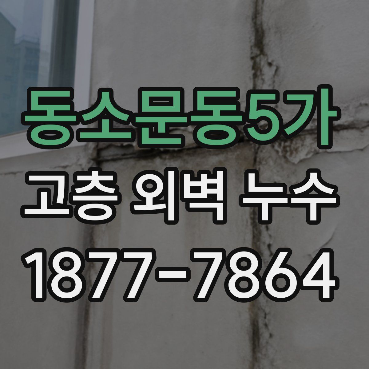 동소문동5가 고층 외벽 누수