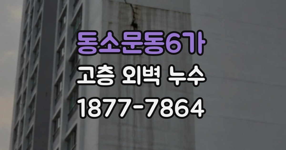 동소문동6가 고층 외벽 누수