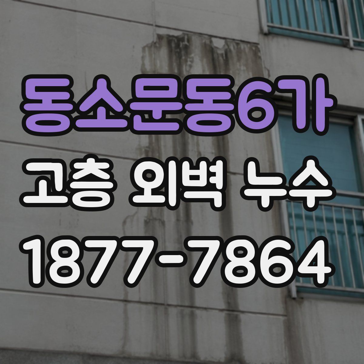 동소문동6가 고층 외벽 누수