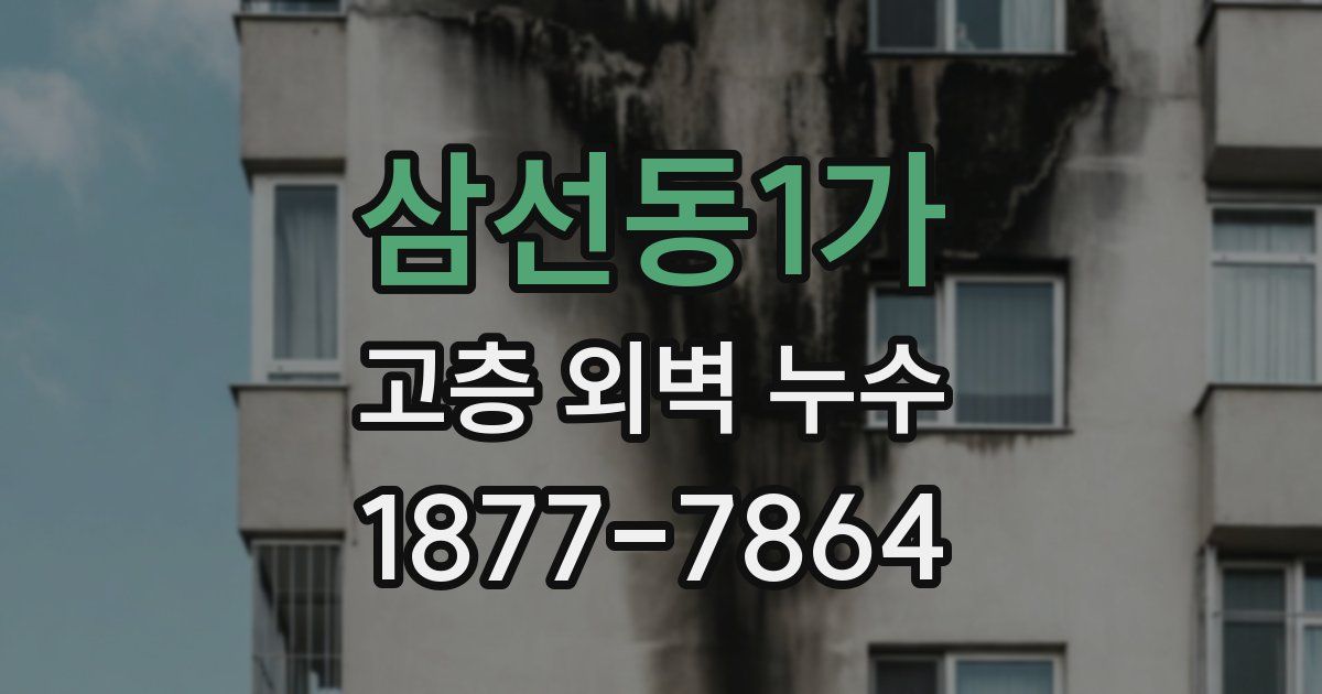 삼선동1가 고층 외벽 누수