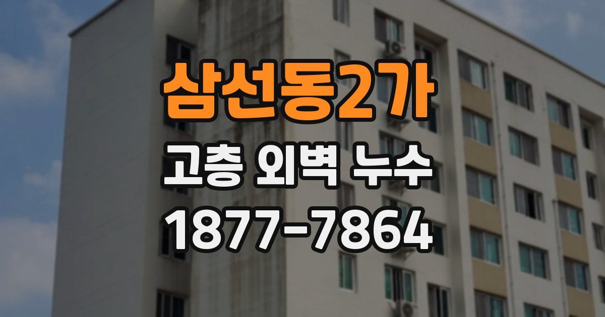 삼선동2가 고층 외벽 누수