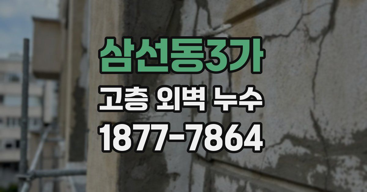 삼선동3가 고층 외벽 누수