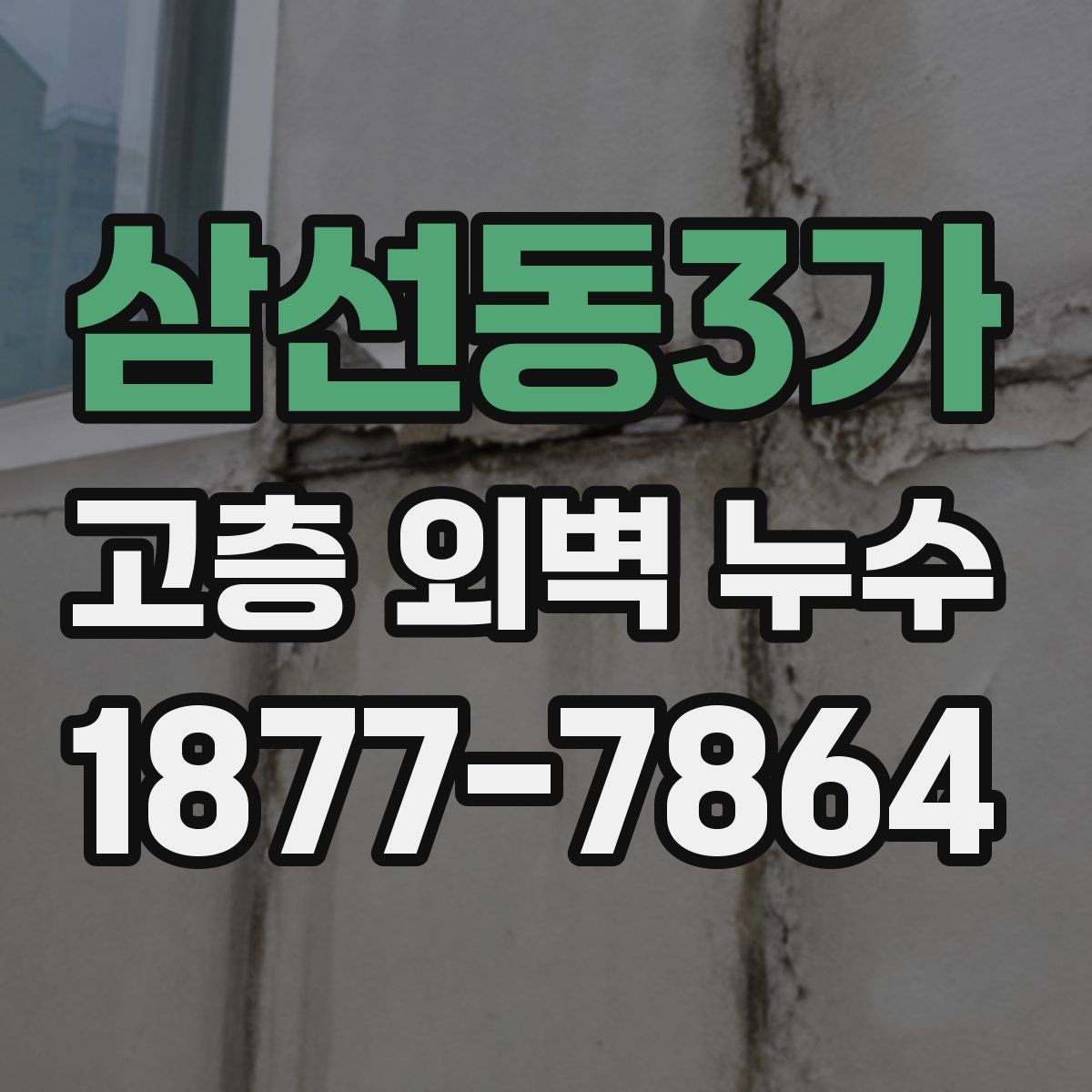 삼선동3가 고층 외벽 누수