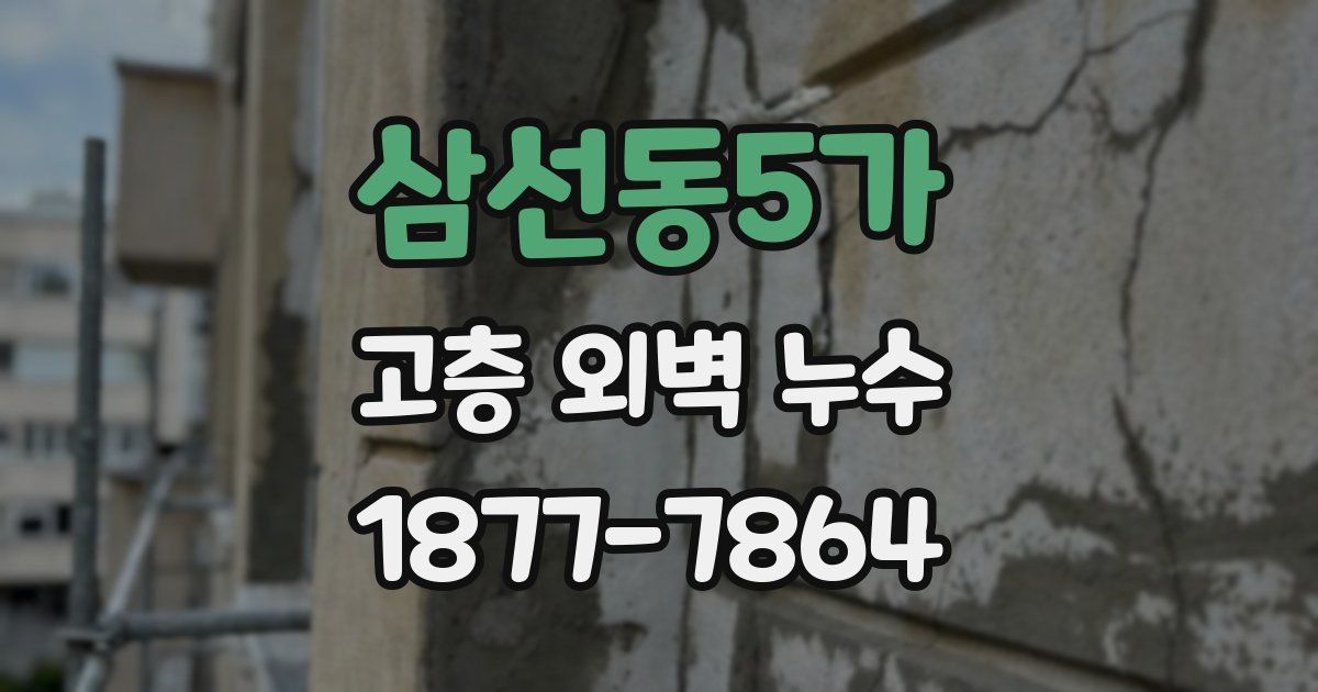 삼선동5가 고층 외벽 누수
