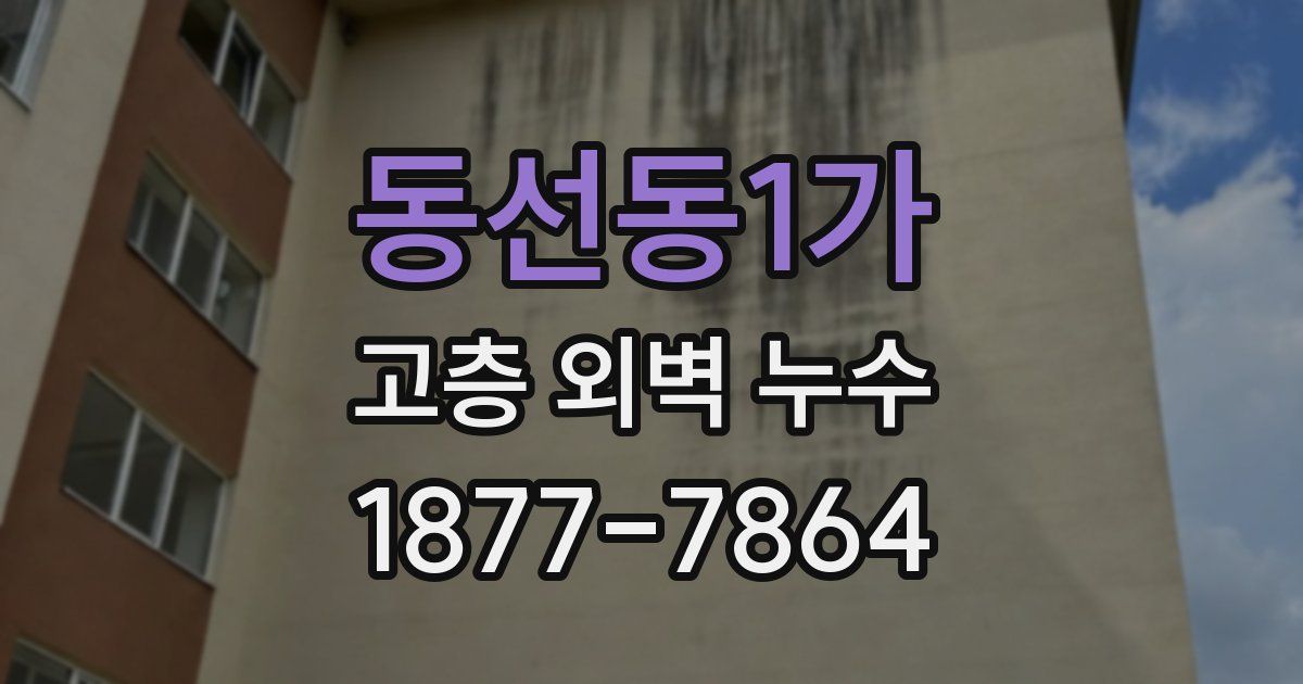 동선동1가 고층 외벽 누수