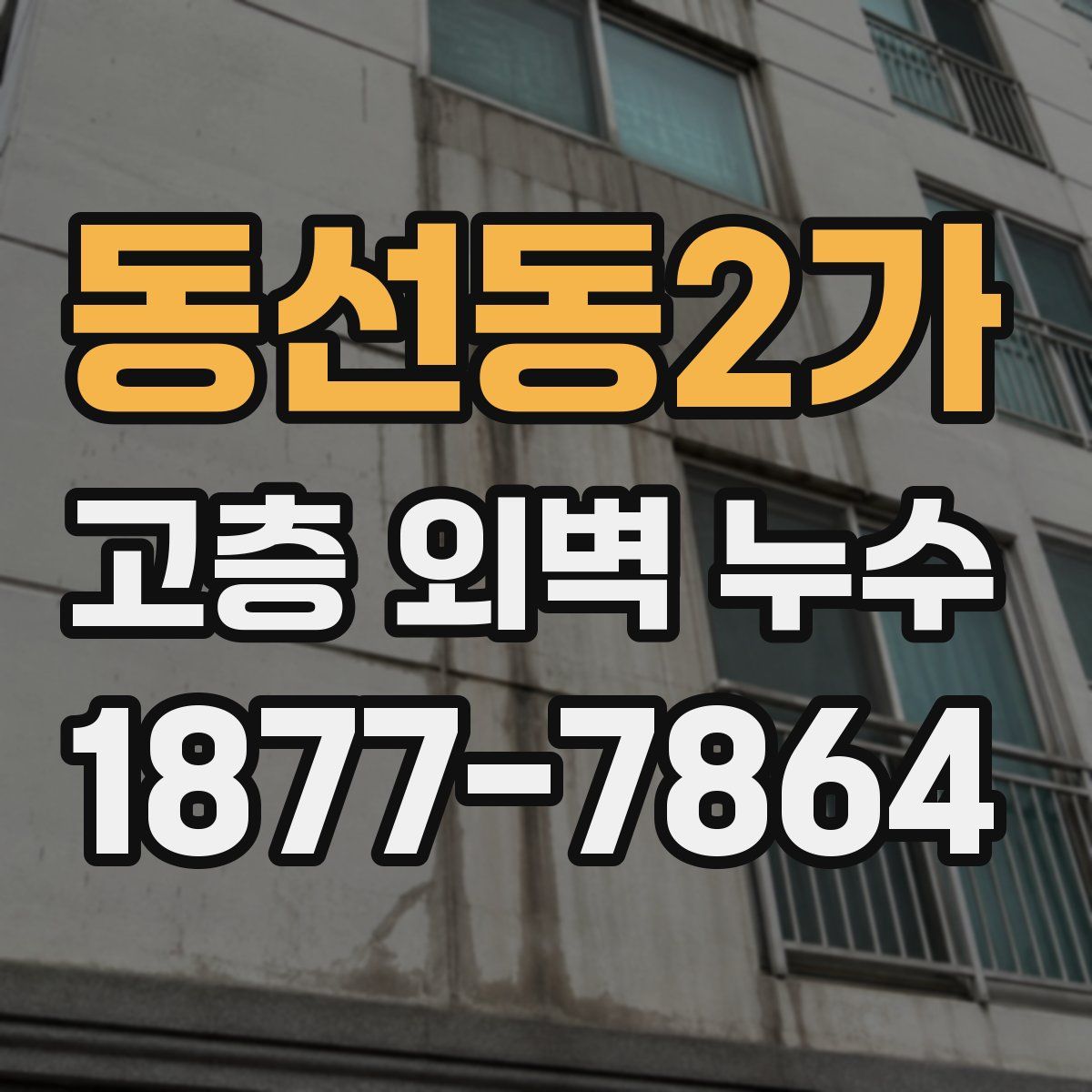 동선동2가 고층 외벽 누수