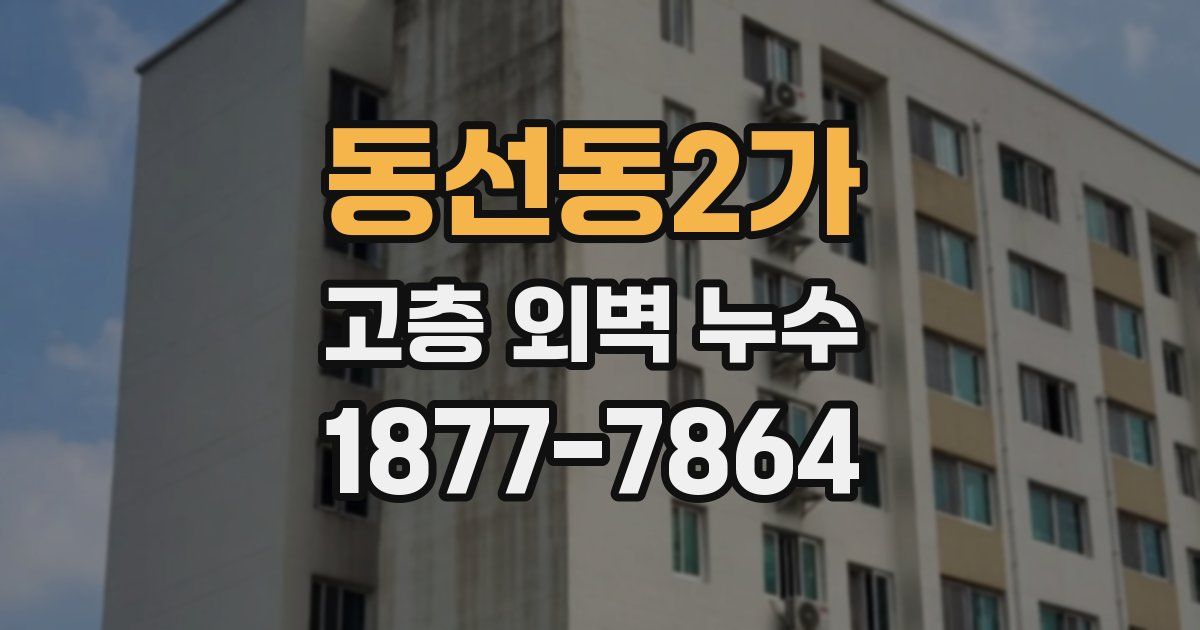 동선동2가 고층 외벽 누수