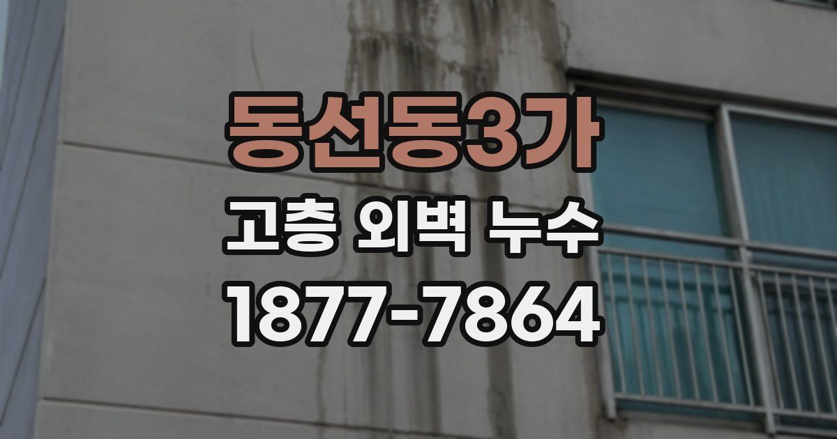 동선동3가 고층 외벽 누수
