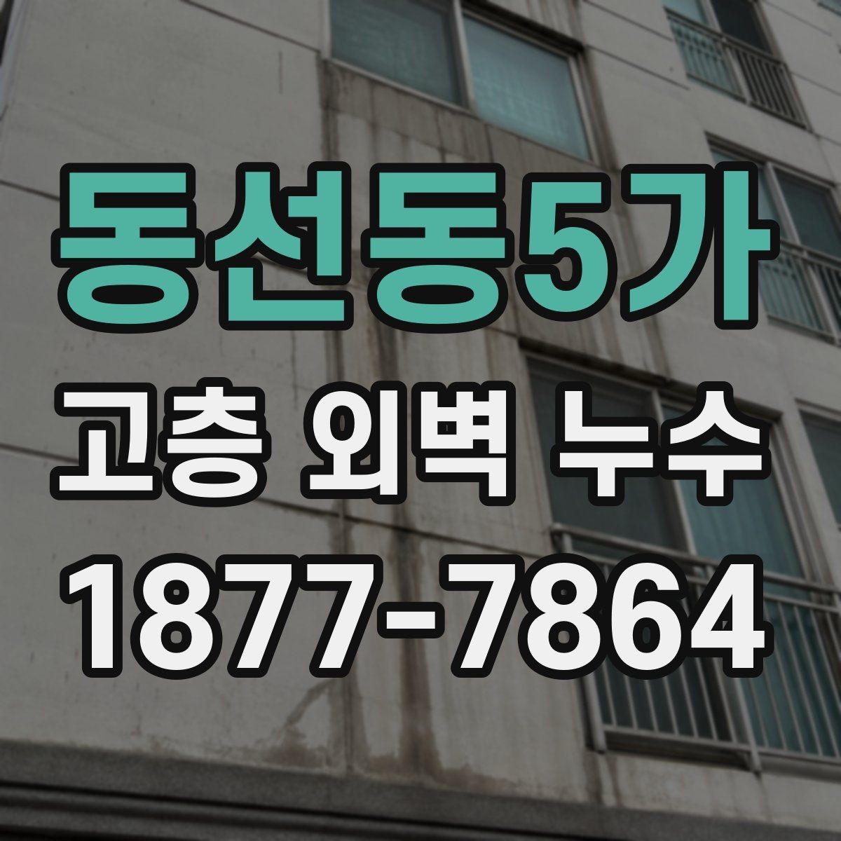 동선동5가 고층 외벽 누수 시공 방식별 차이 알아보기