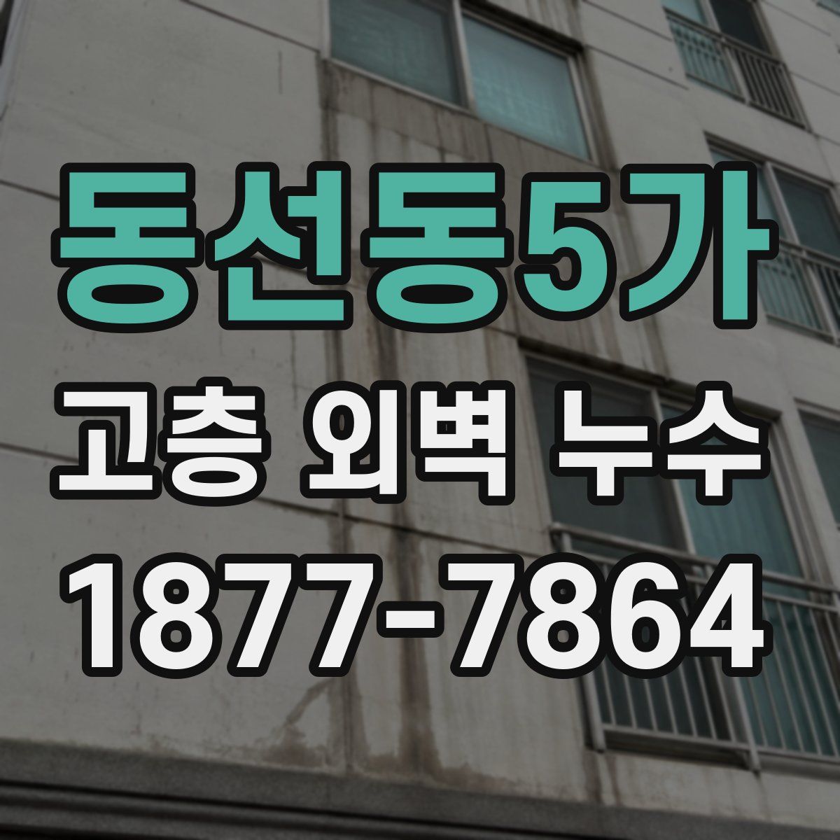 동선동5가 고층 외벽 누수