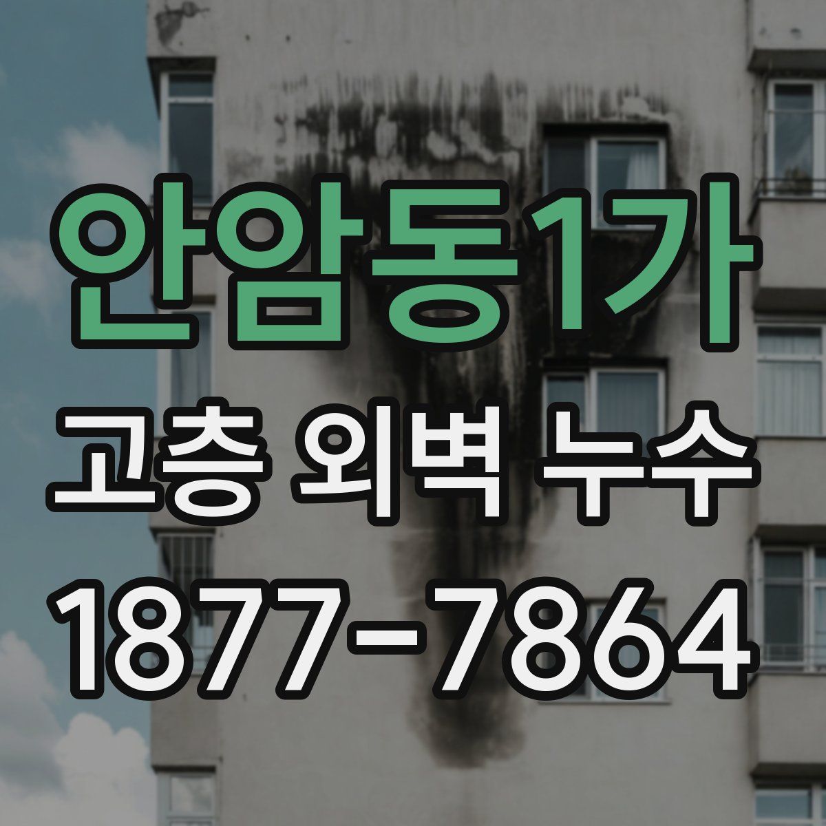 안암동1가 고층 외벽 누수