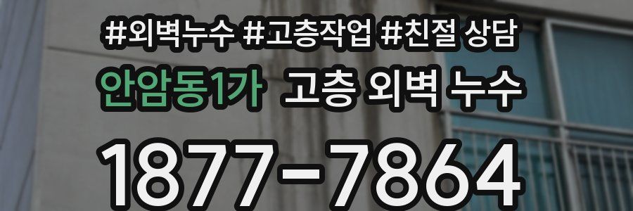 안암동1가 고층 외벽 누수