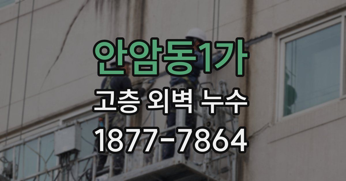 안암동1가 고층 외벽 누수