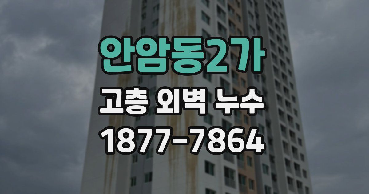 안암동2가 고층 외벽 누수