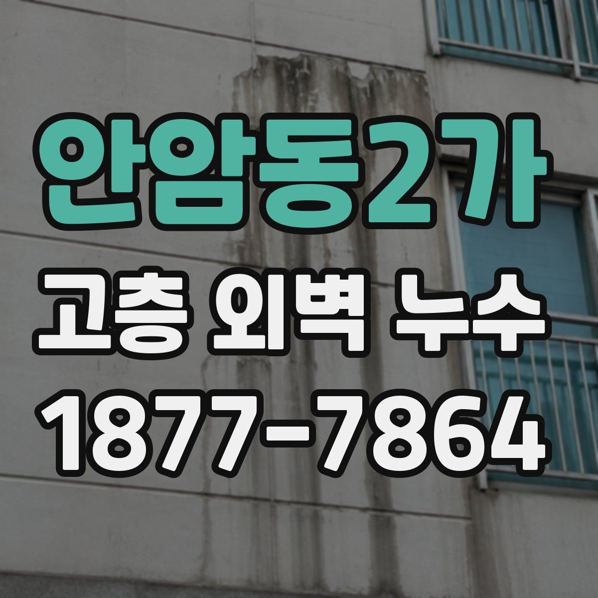 안암동2가 고층 외벽 누수