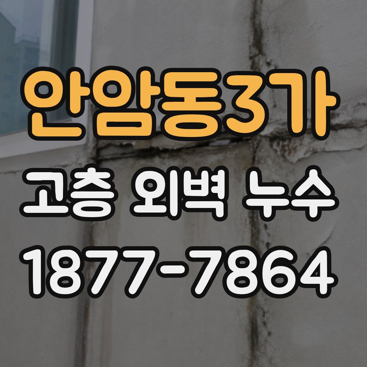 안암동3가 고층 외벽 누수