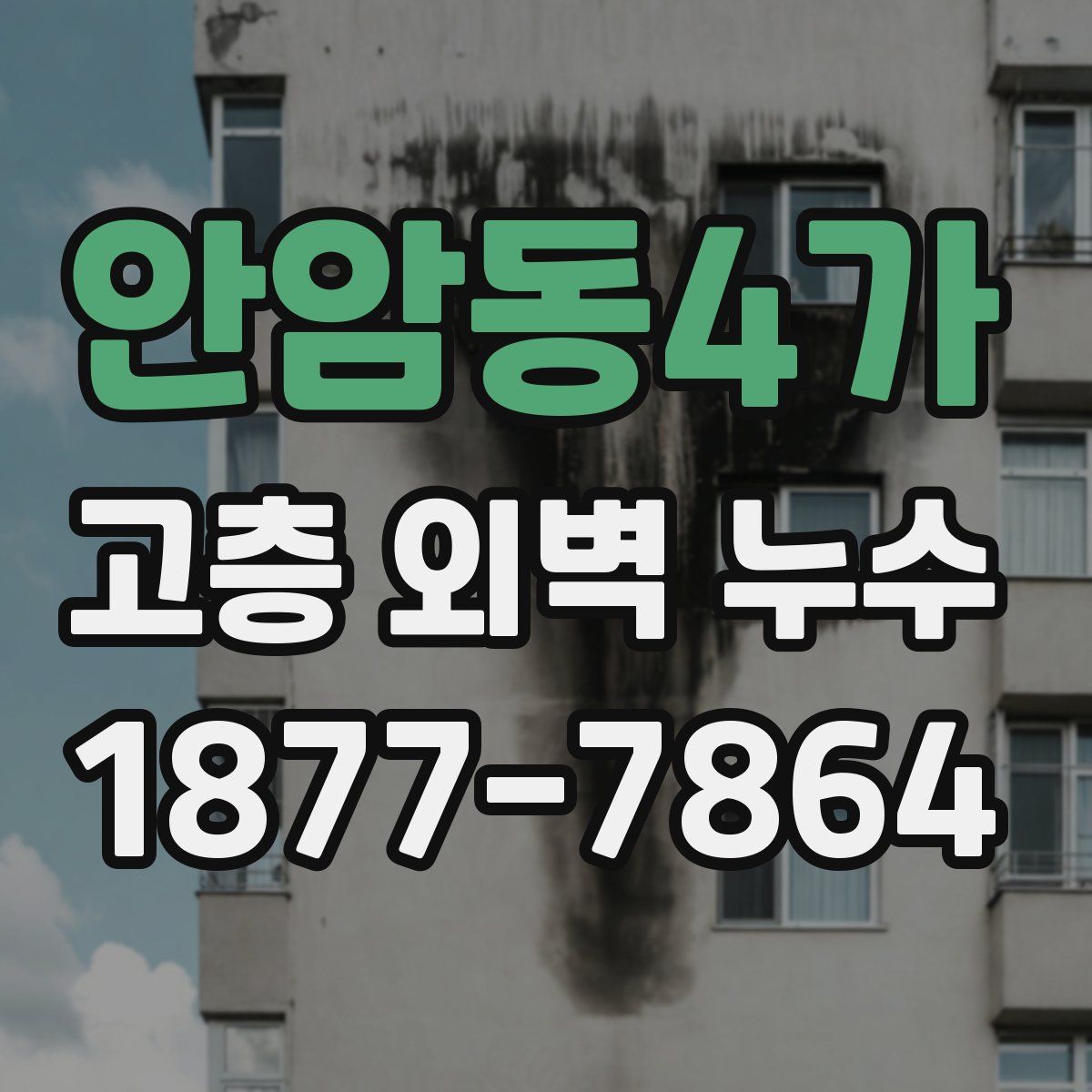 안암동4가 고층 외벽 누수