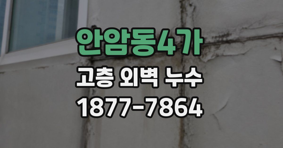 안암동4가 고층 외벽 누수