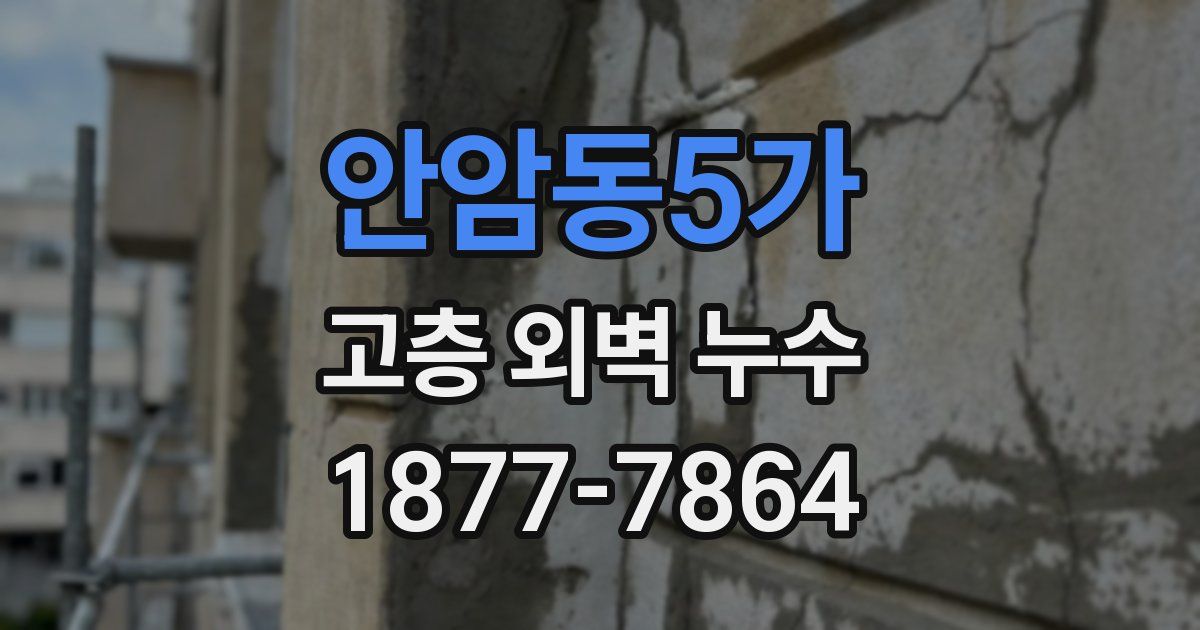 안암동5가 고층 외벽 누수