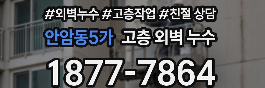 안암동5가 고층 외벽 누수