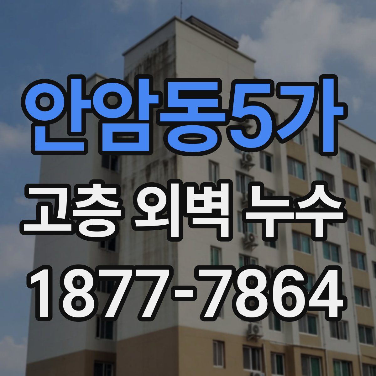안암동5가 고층 외벽 누수