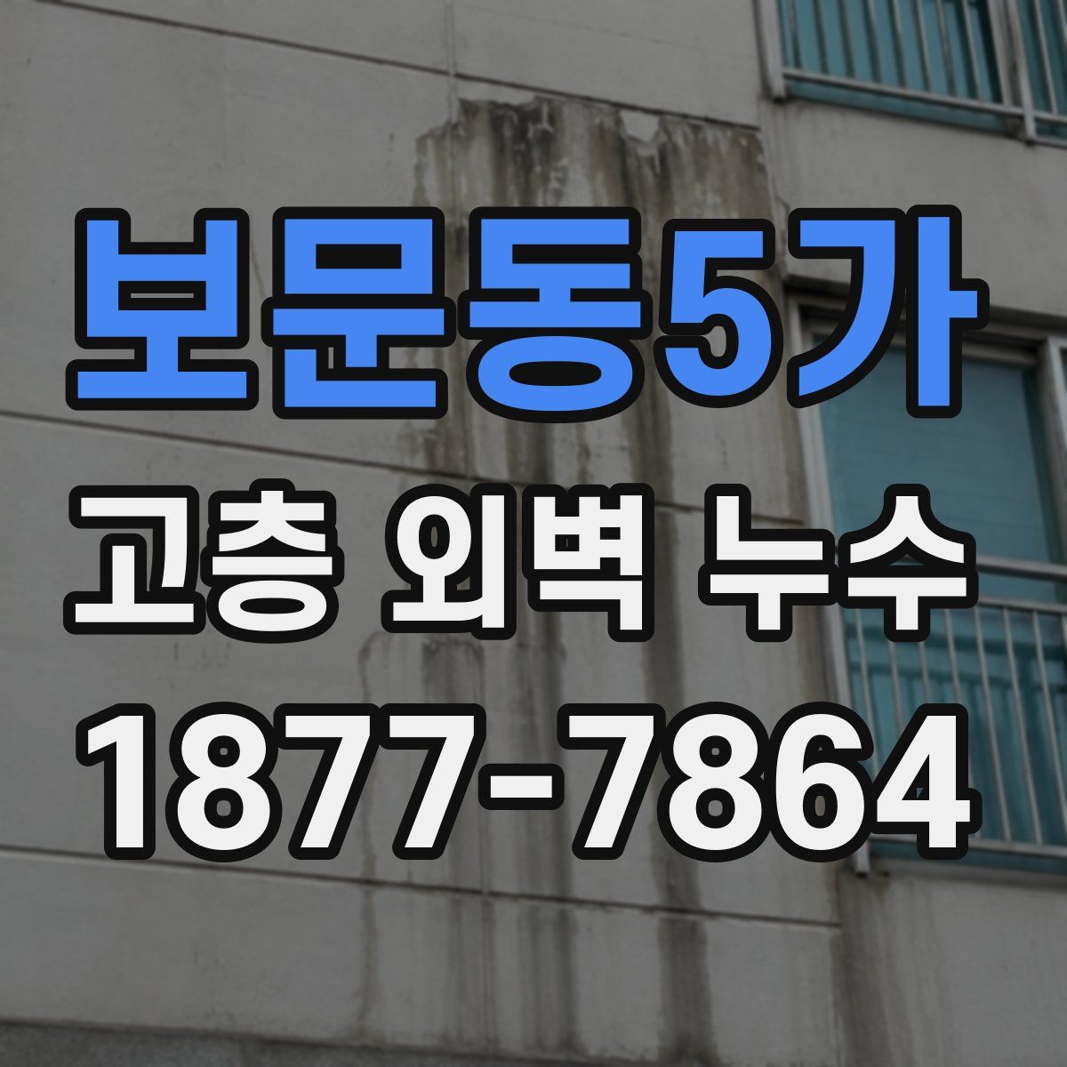 보문동5가 고층 외벽 누수