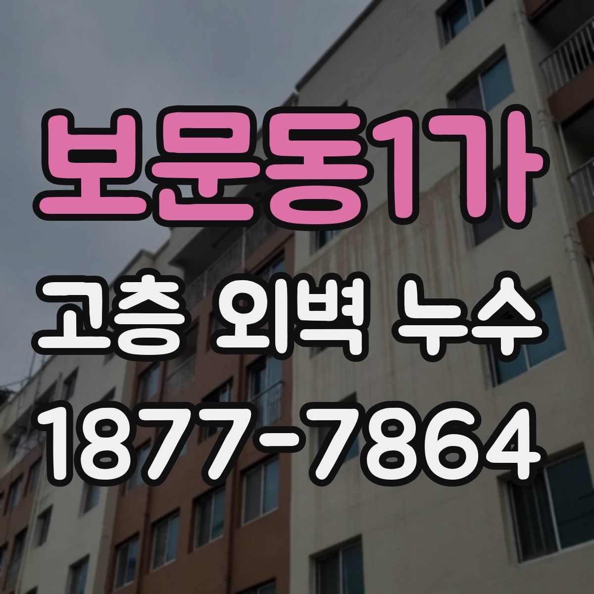 보문동1가 고층 외벽 누수