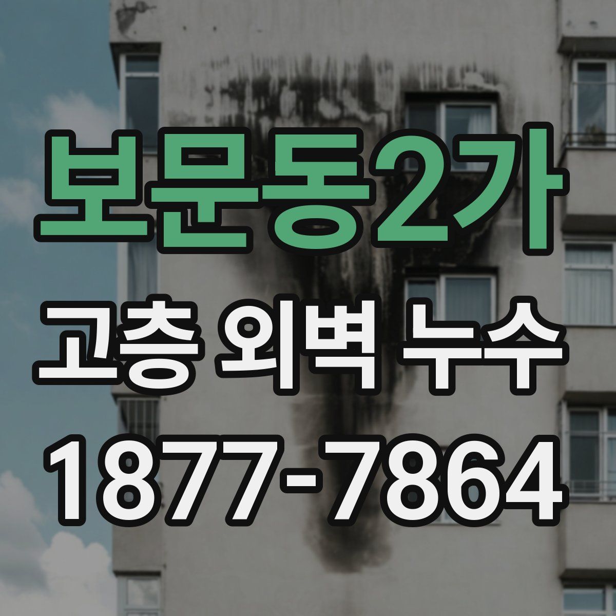 보문동2가 고층 외벽 누수