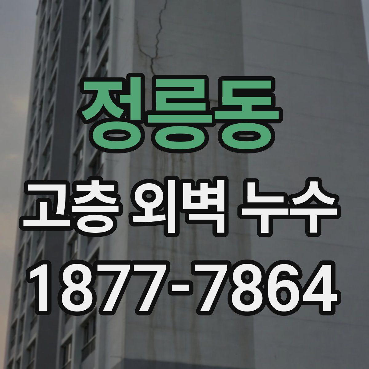 정릉동 고층 외벽 누수