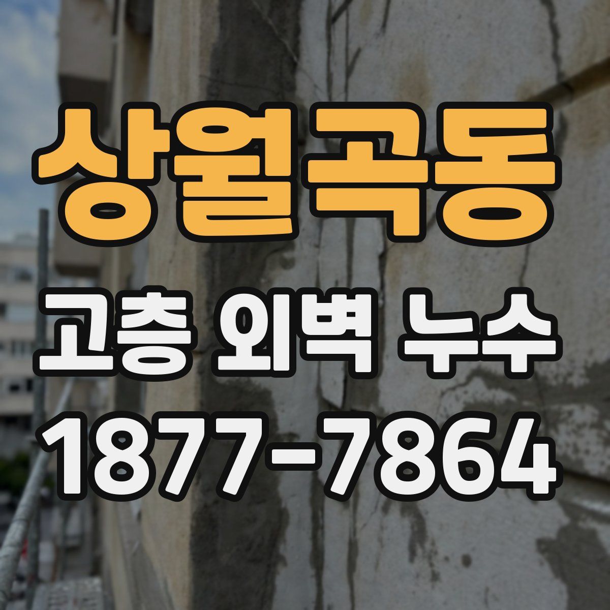 상월곡동 고층 외벽 누수