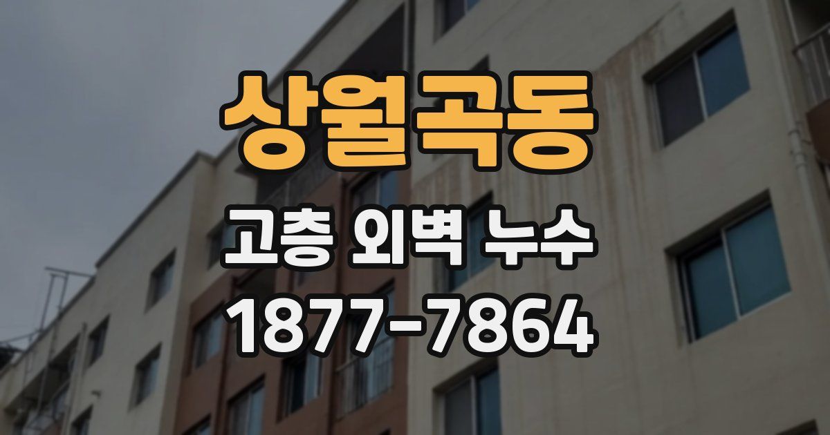 상월곡동 고층 외벽 누수