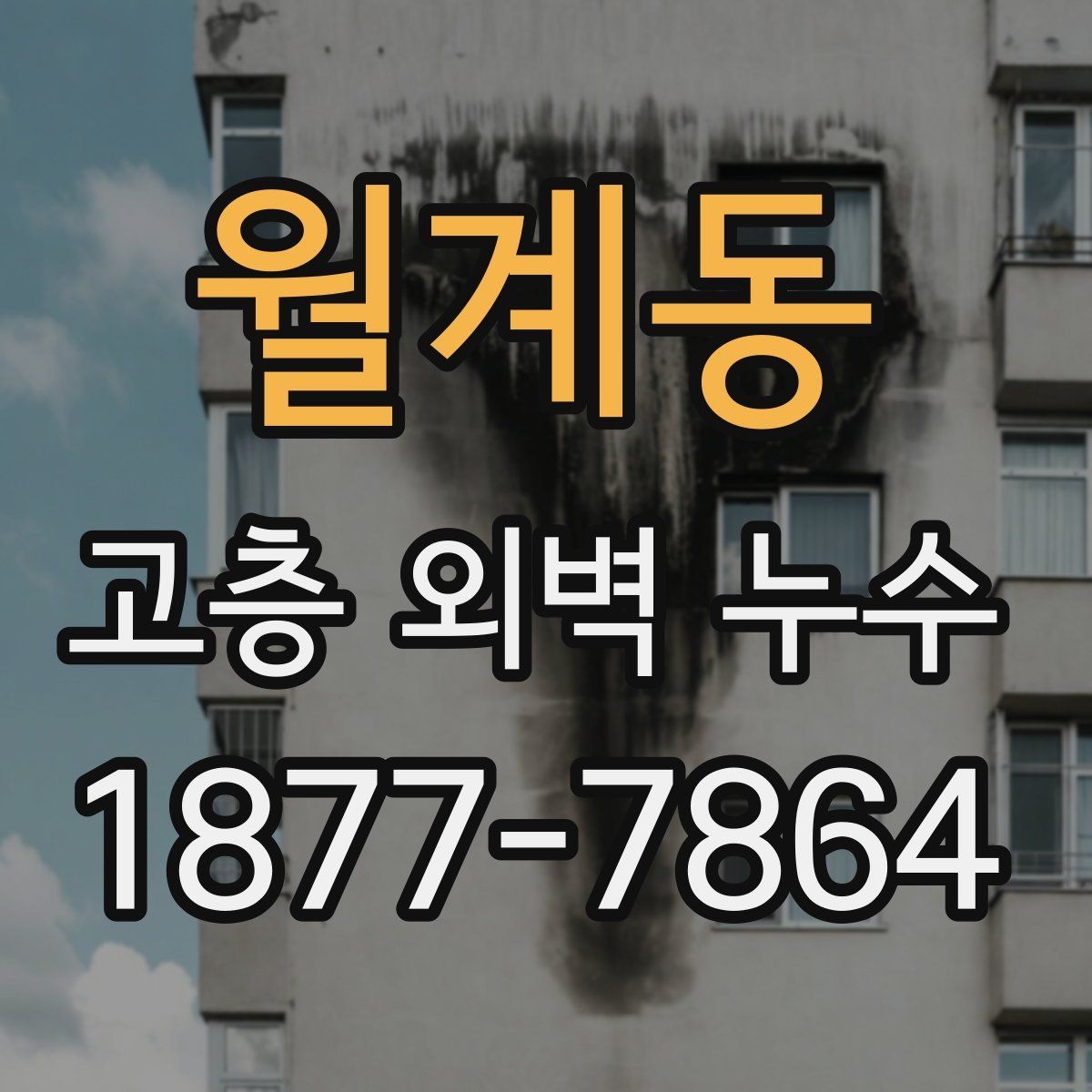 월계동 고층 외벽 누수 외관 손상과 내부 피해의 연결