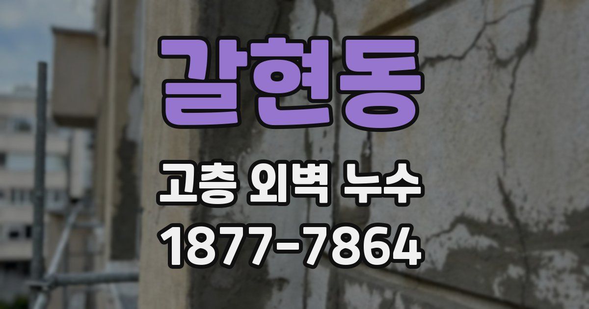 갈현동 고층 외벽 누수