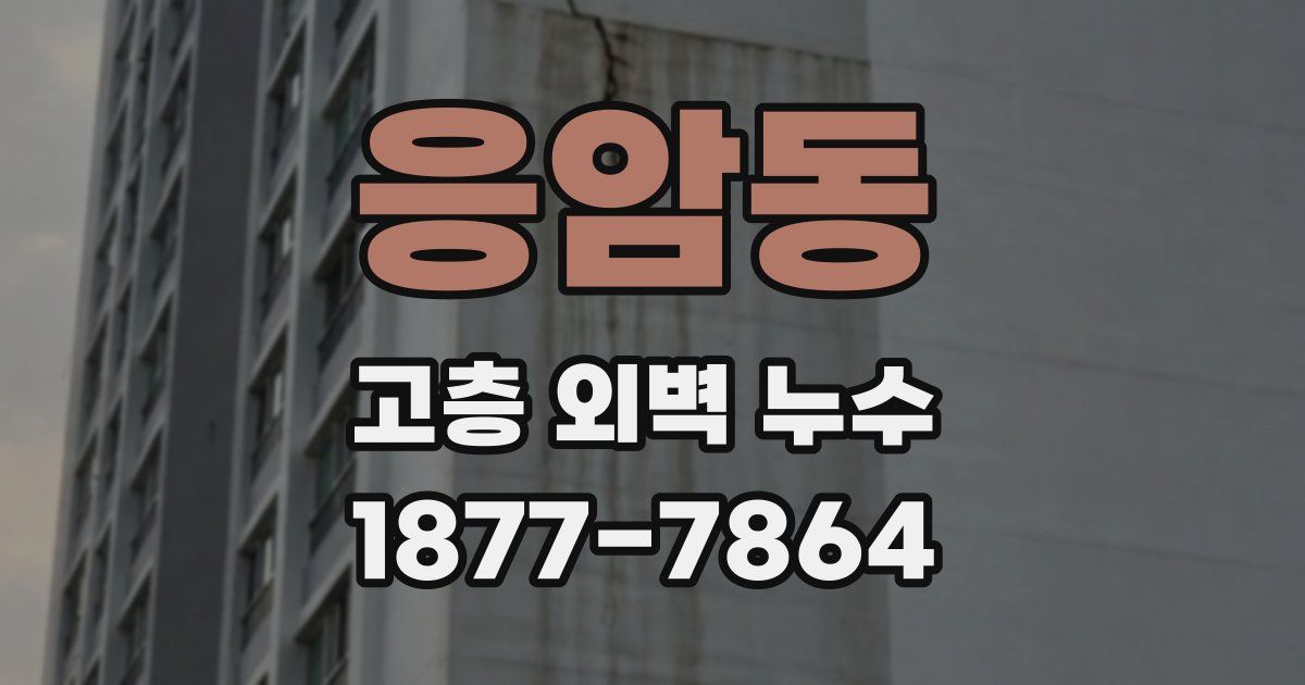 응암동 고층 외벽 누수