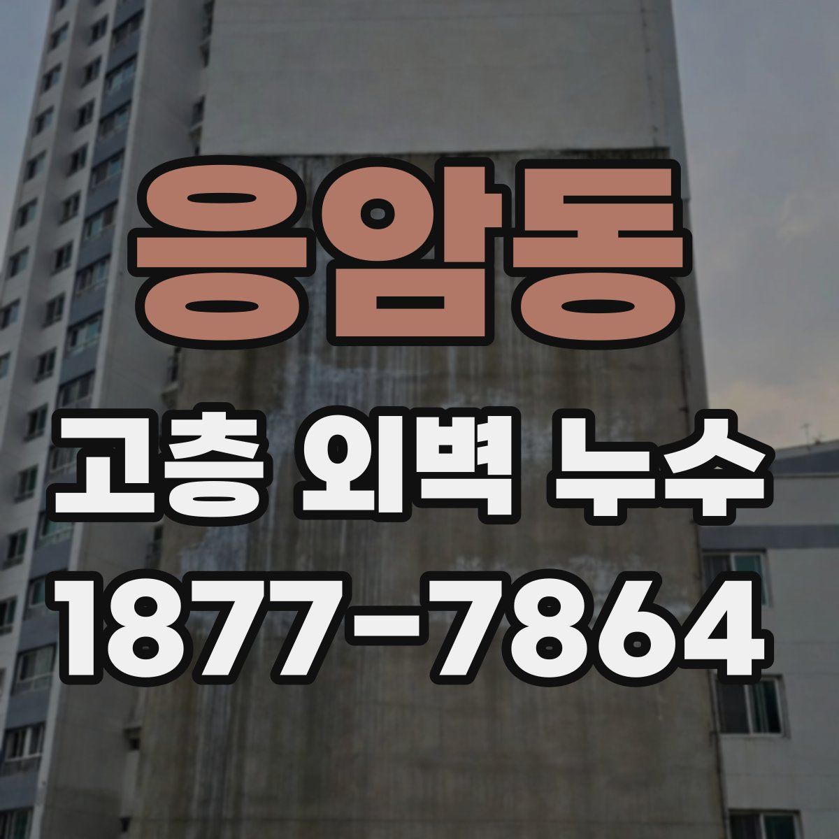응암동 고층 외벽 누수