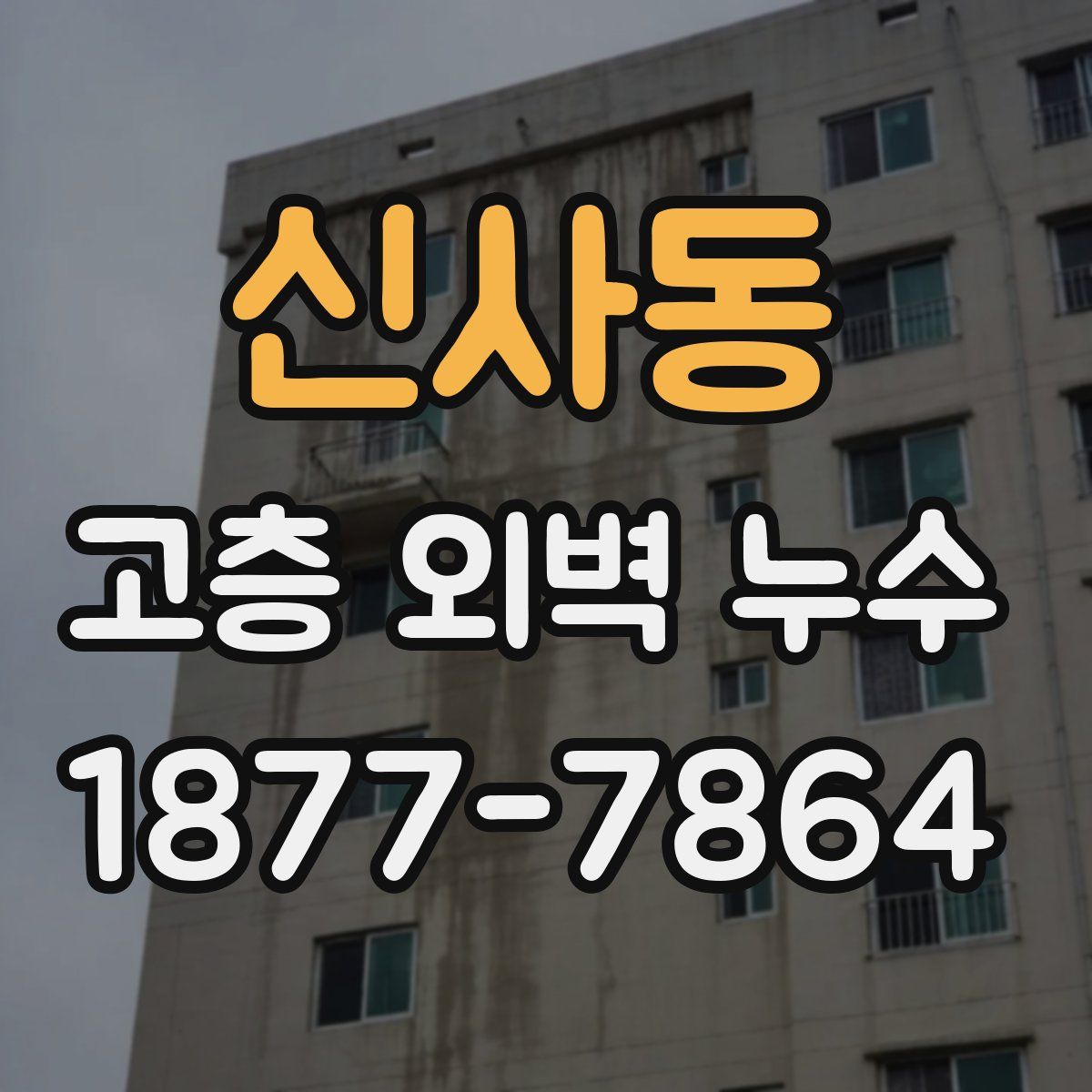신사동 고층 외벽 누수