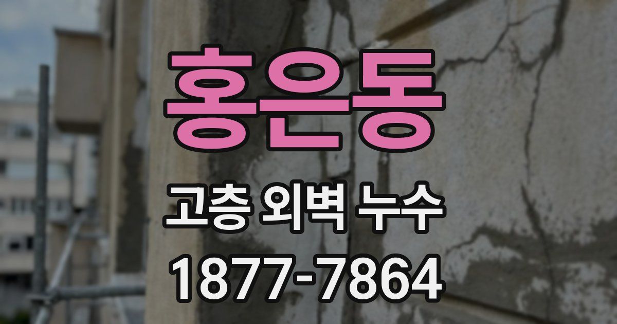 홍은동 고층 외벽 누수