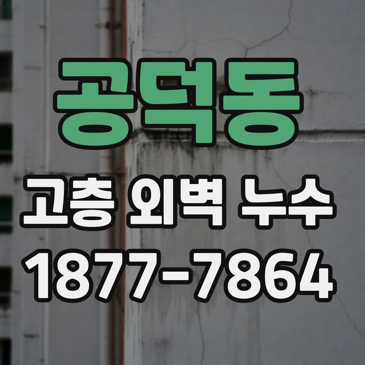 공덕동 고층 외벽 누수 전문가 진단이 필요한 상황