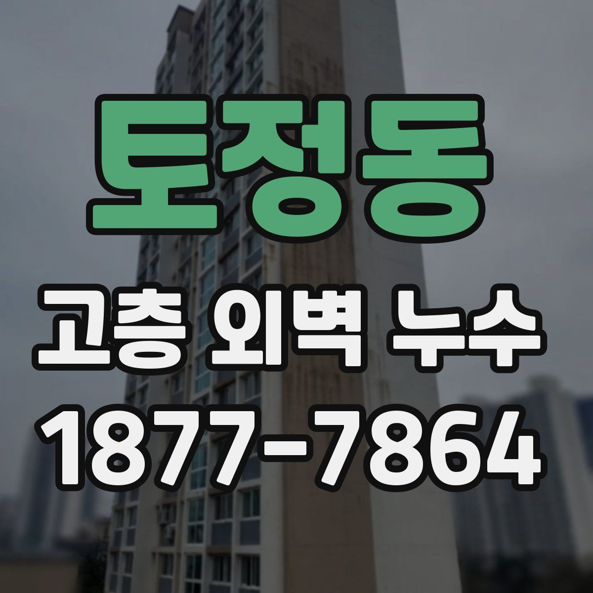 토정동 고층 외벽 누수