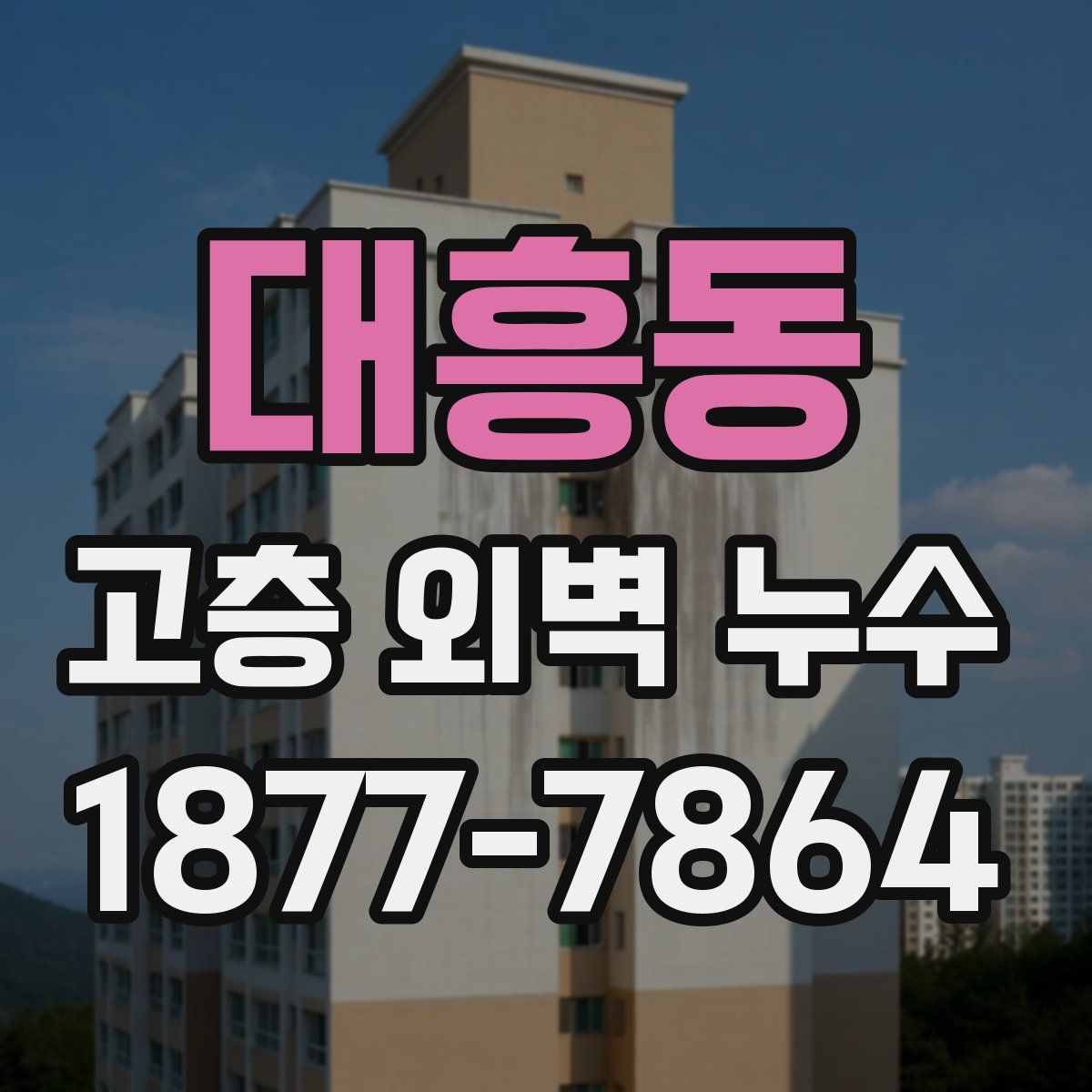 대흥동 고층 외벽 누수