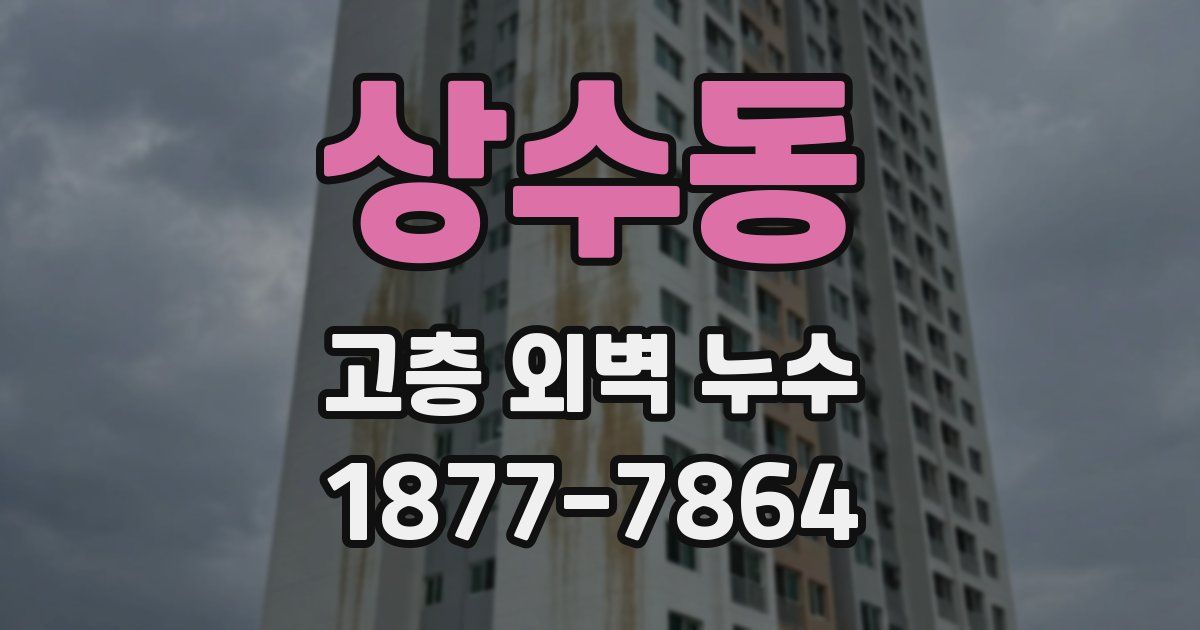 상수동 고층 외벽 누수