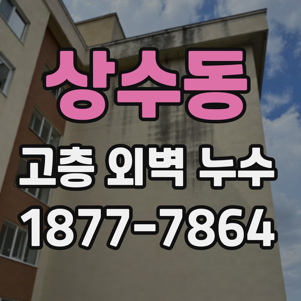 상수동 고층 외벽 누수